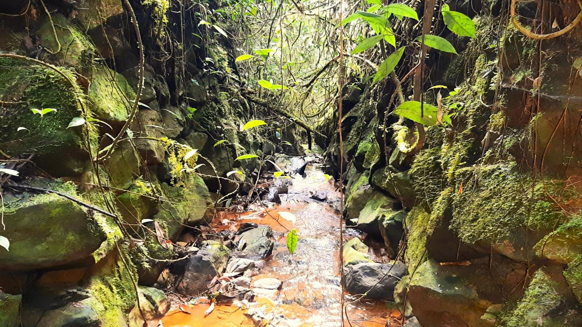Encanto Minicasitas En Medio De La Naturaleza Santa Elena  Zewnętrze zdjęcie