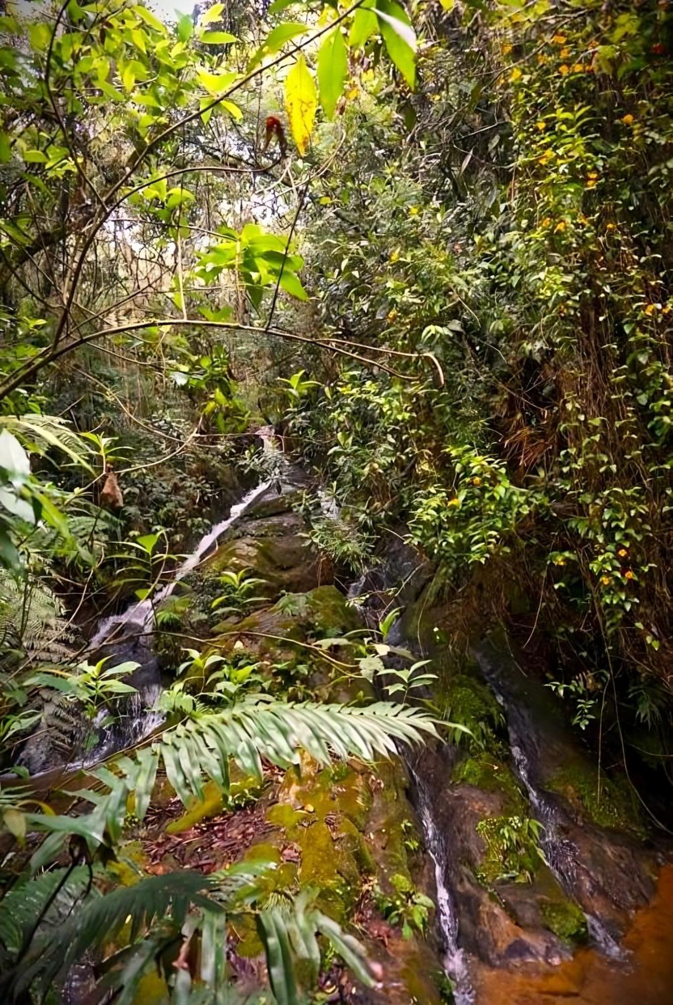 Encanto Minicasitas En Medio De La Naturaleza Santa Elena  Zewnętrze zdjęcie