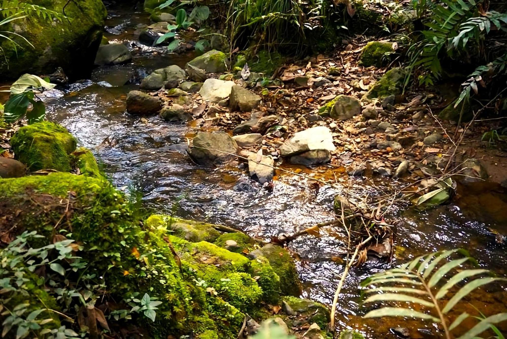 Encanto Minicasitas En Medio De La Naturaleza Santa Elena  Zewnętrze zdjęcie