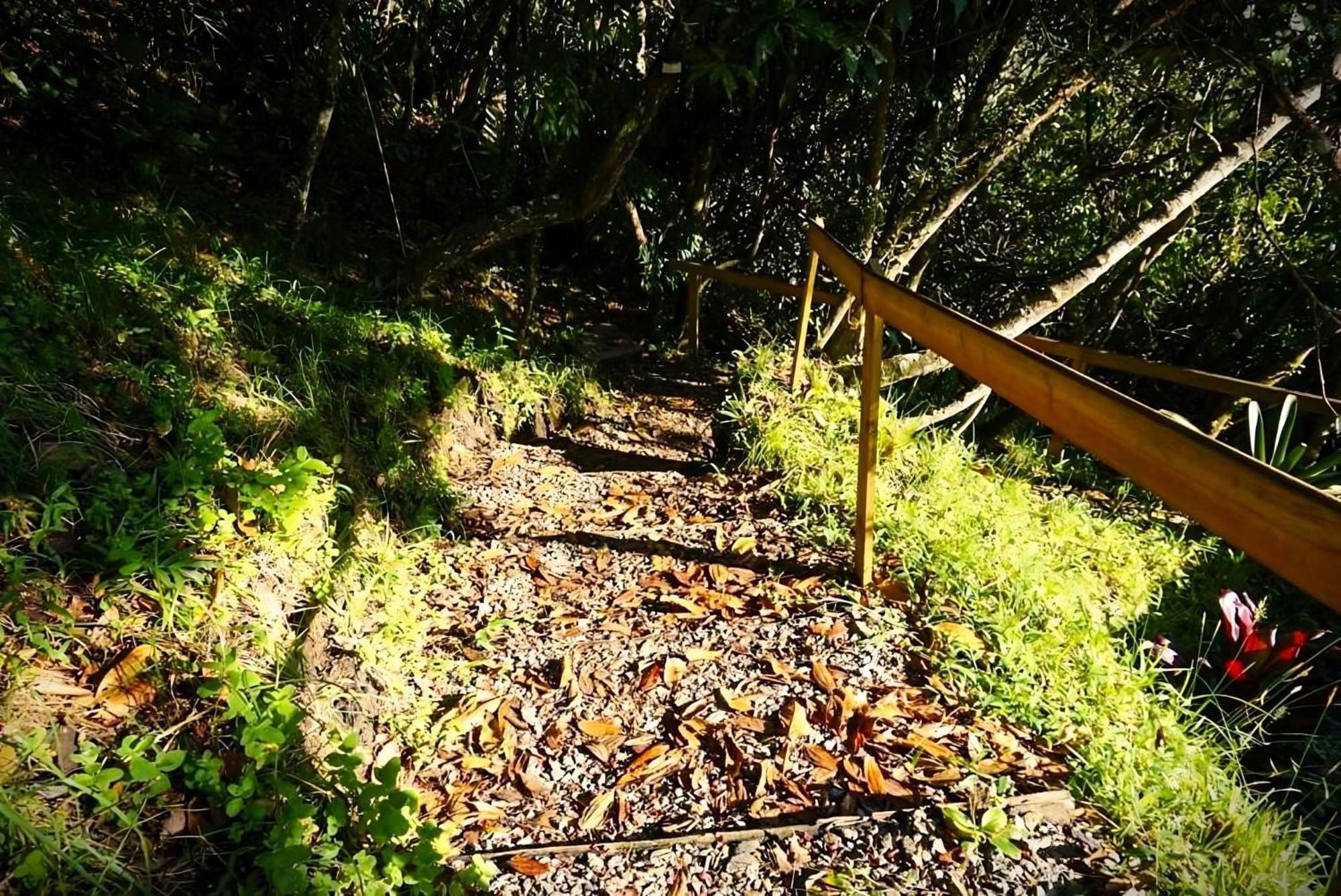 Encanto Minicasitas En Medio De La Naturaleza Santa Elena  Zewnętrze zdjęcie