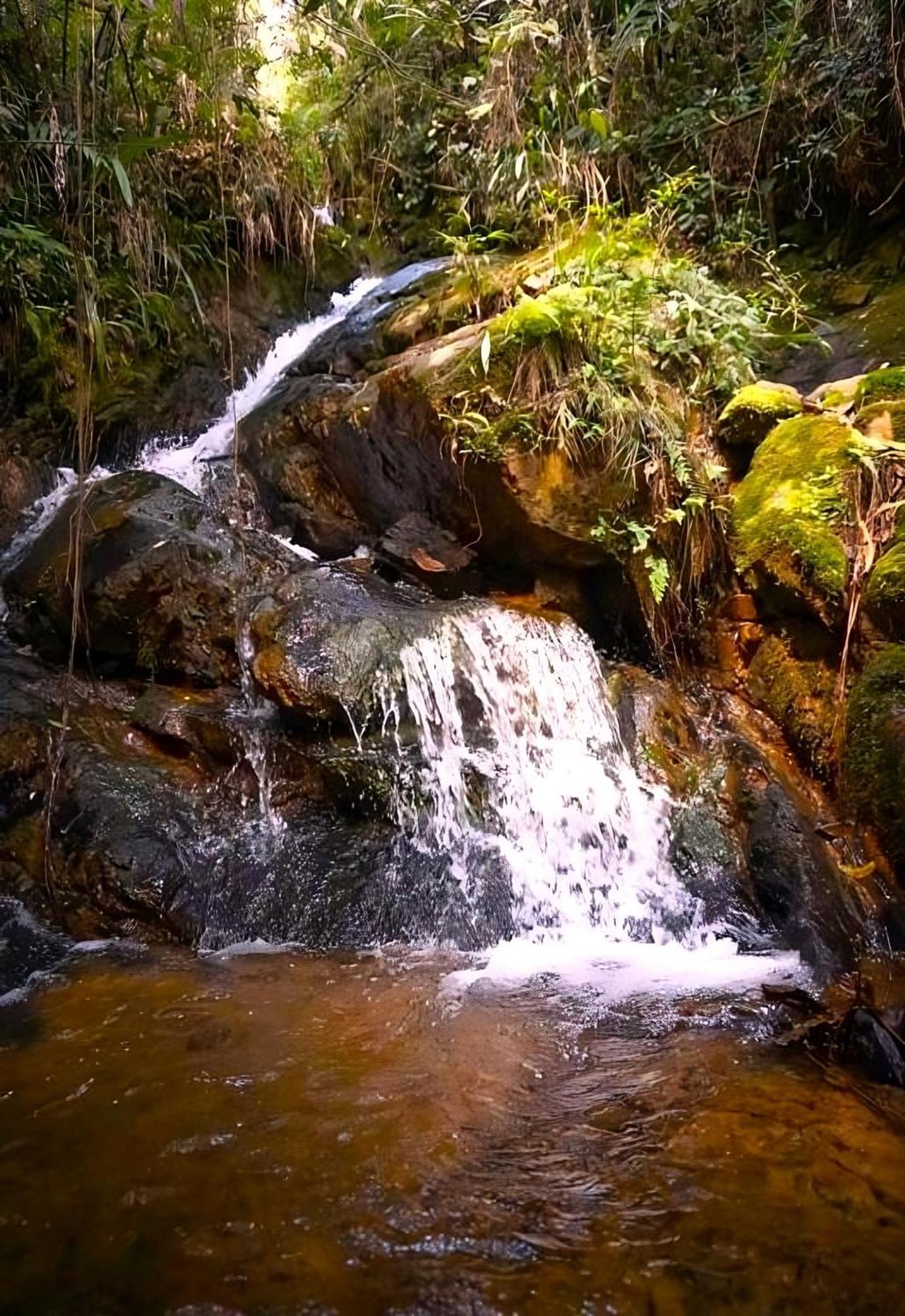 Encanto Minicasitas En Medio De La Naturaleza Santa Elena  Zewnętrze zdjęcie