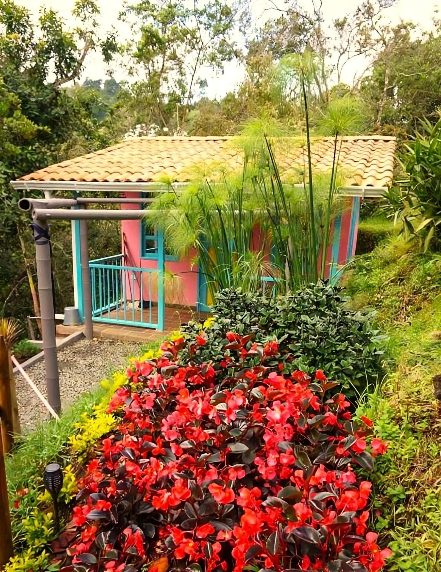 Encanto Minicasitas En Medio De La Naturaleza Santa Elena  Zewnętrze zdjęcie